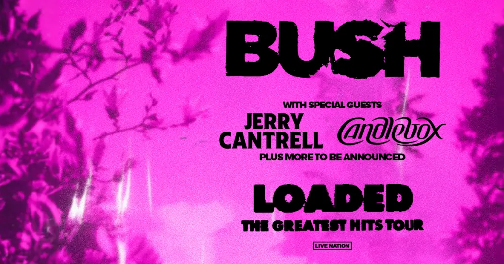 Bush at 713 Music Hall
